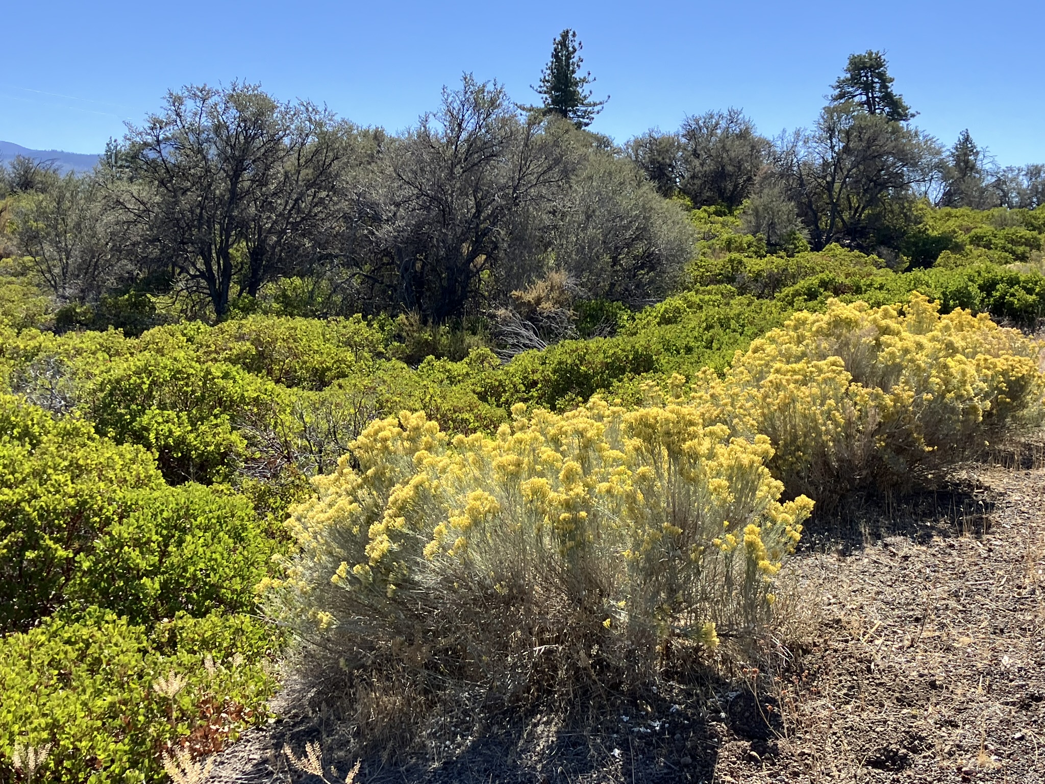 Friday October 4, 2024