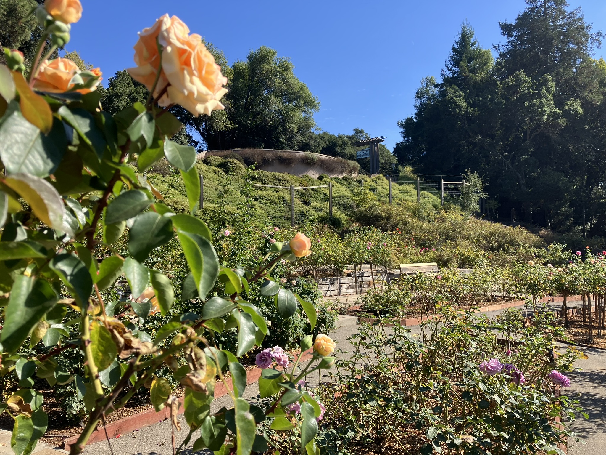 Monday October 7, 2024