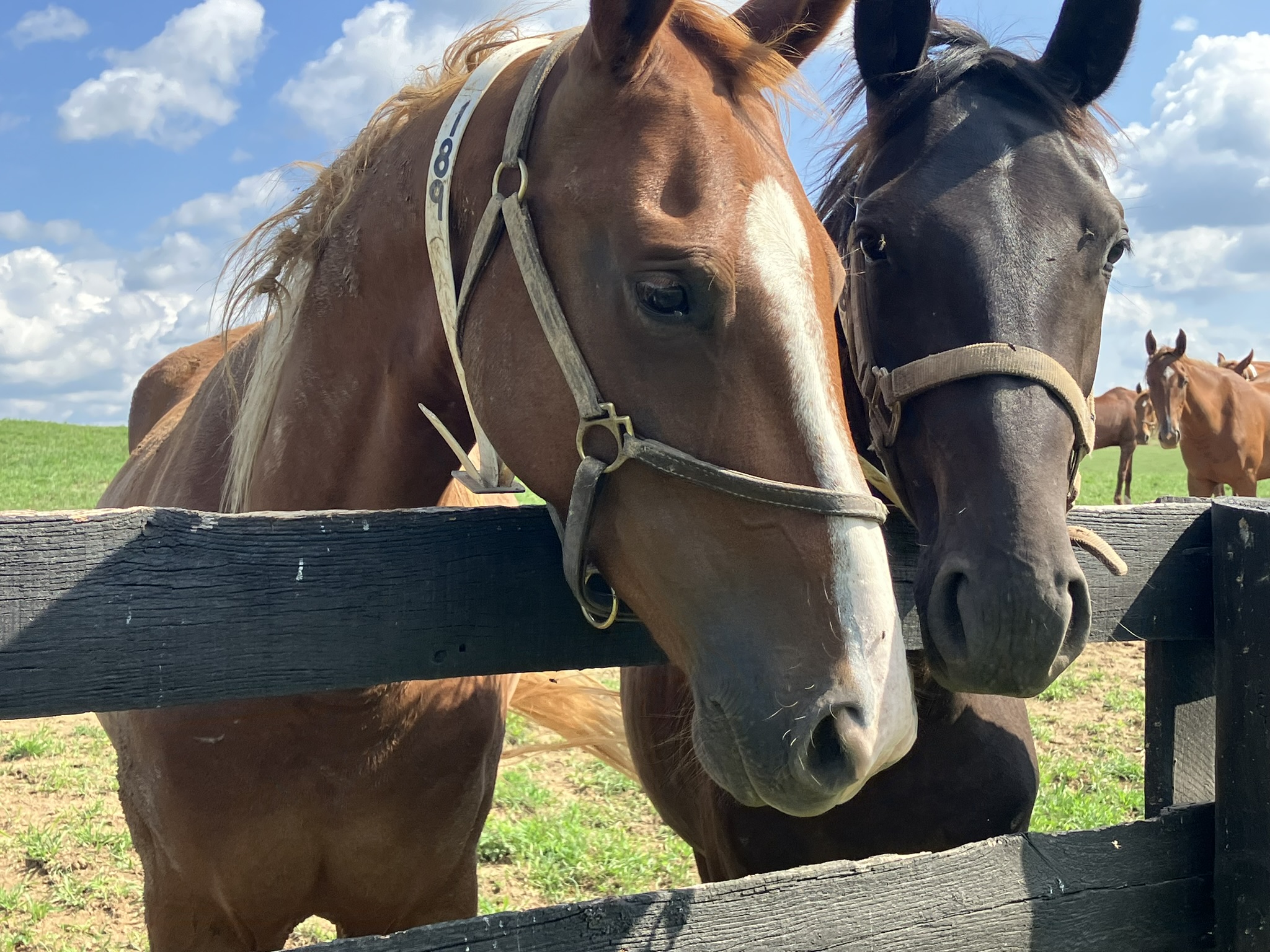 Saturday August 3, 2024