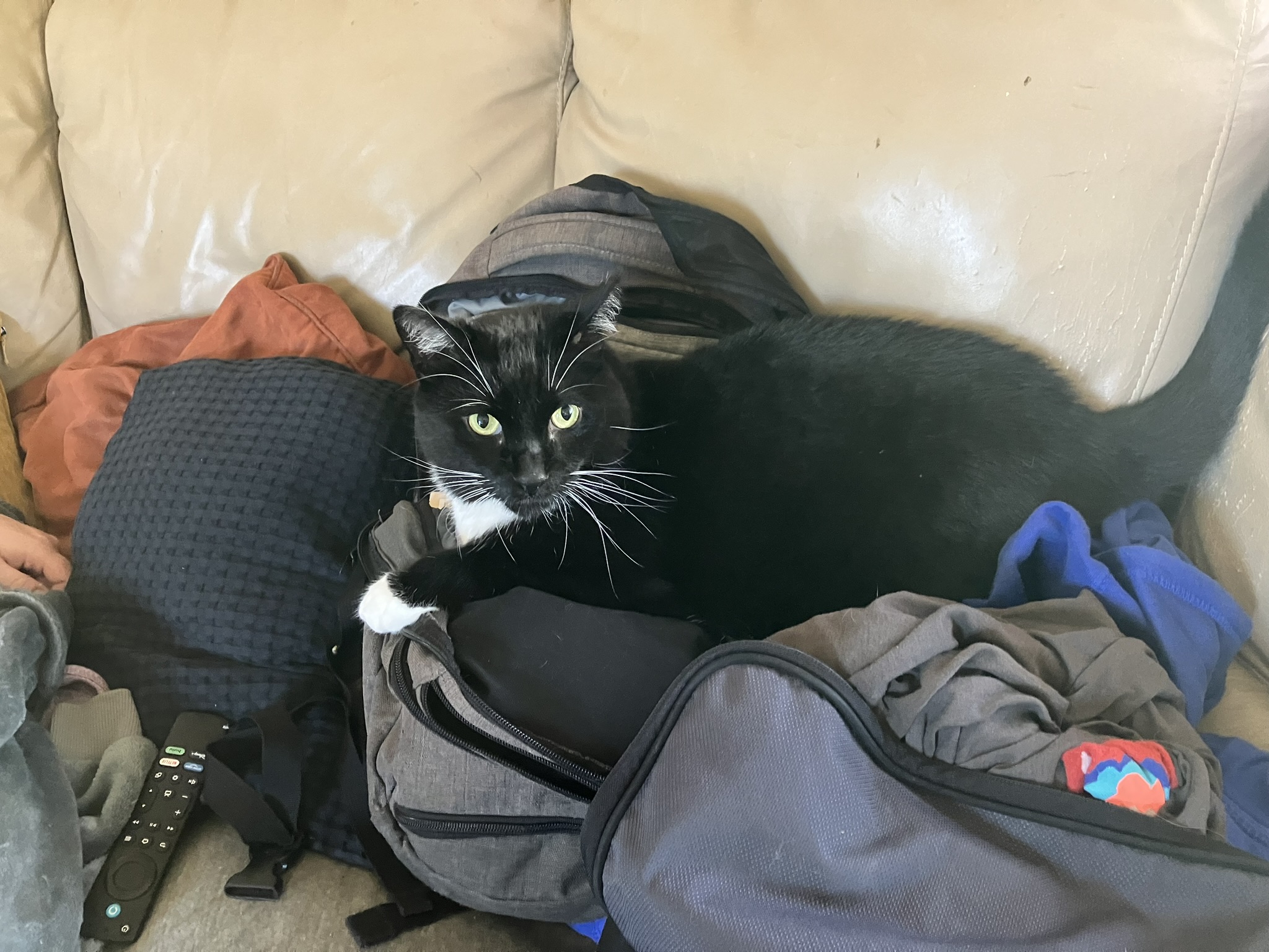 Monday August 19, 2024