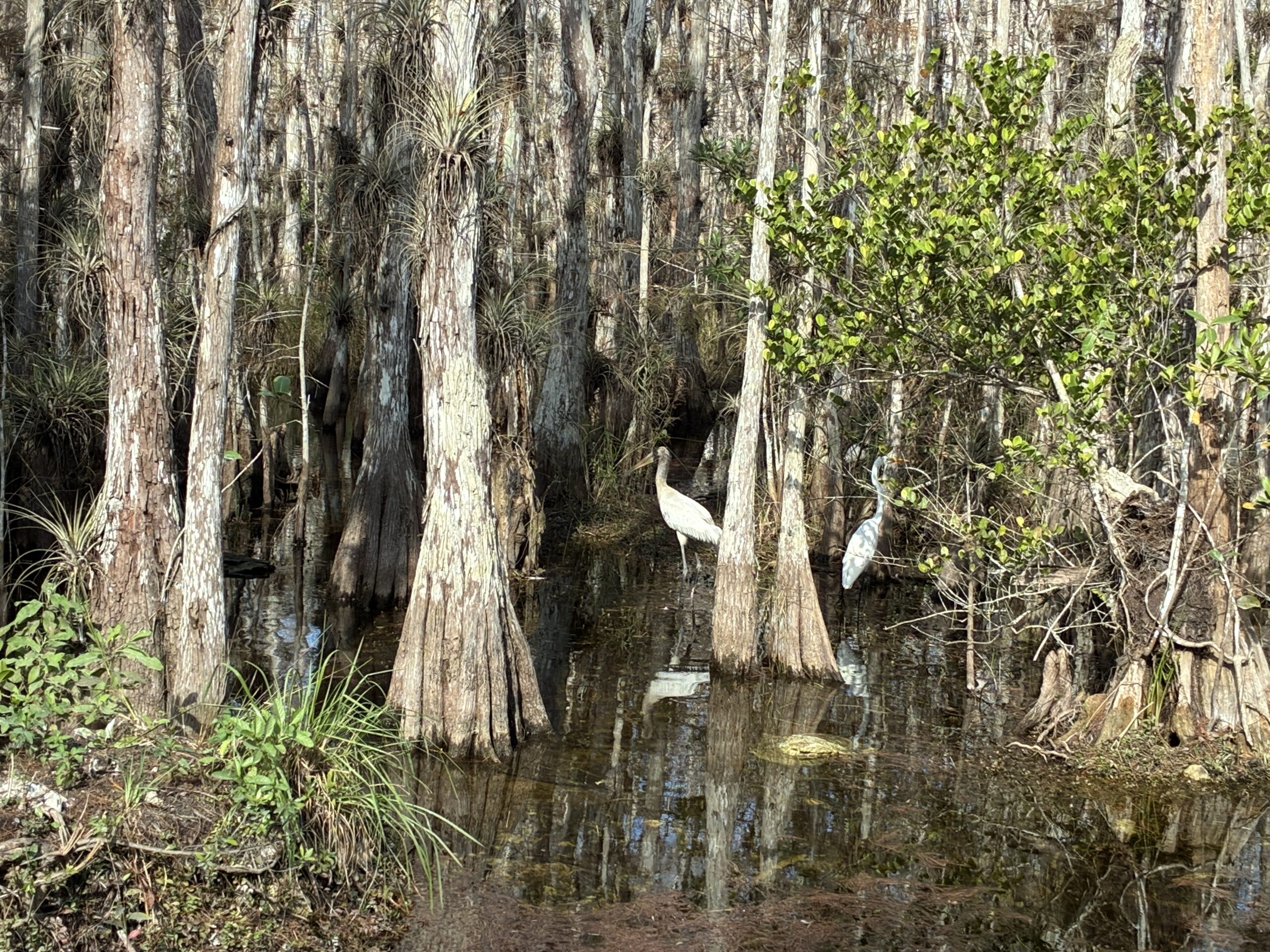 Monday November 10, 2025