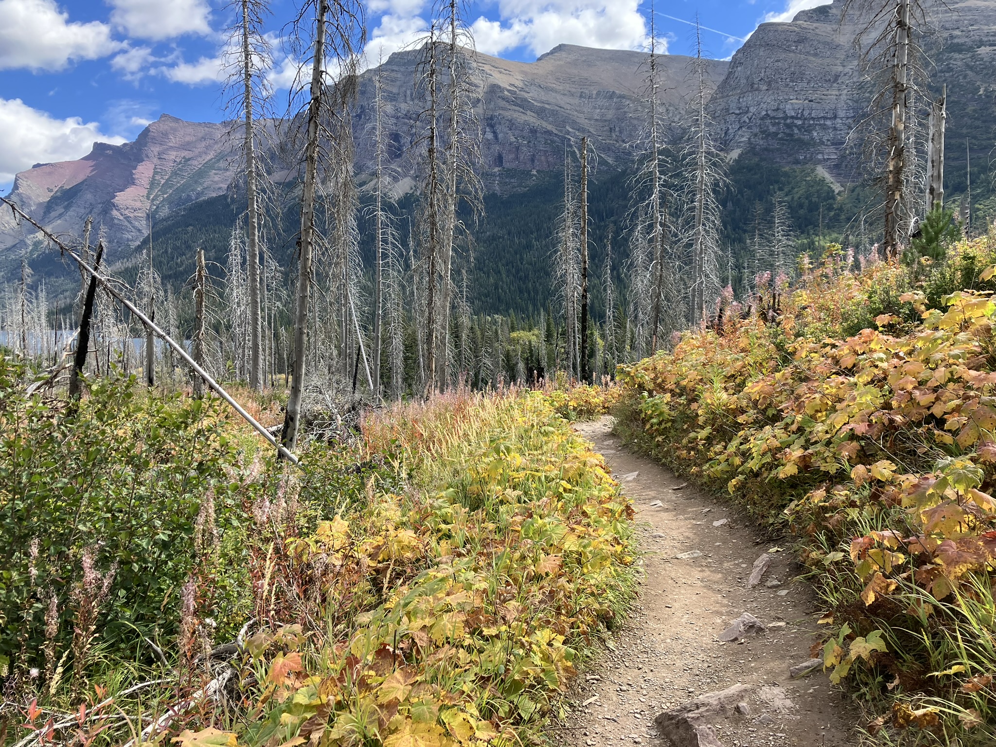 Monday September 23, 2024