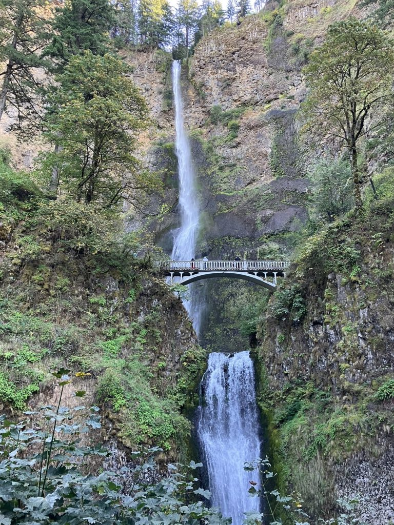 Wednesday October 2, 2024