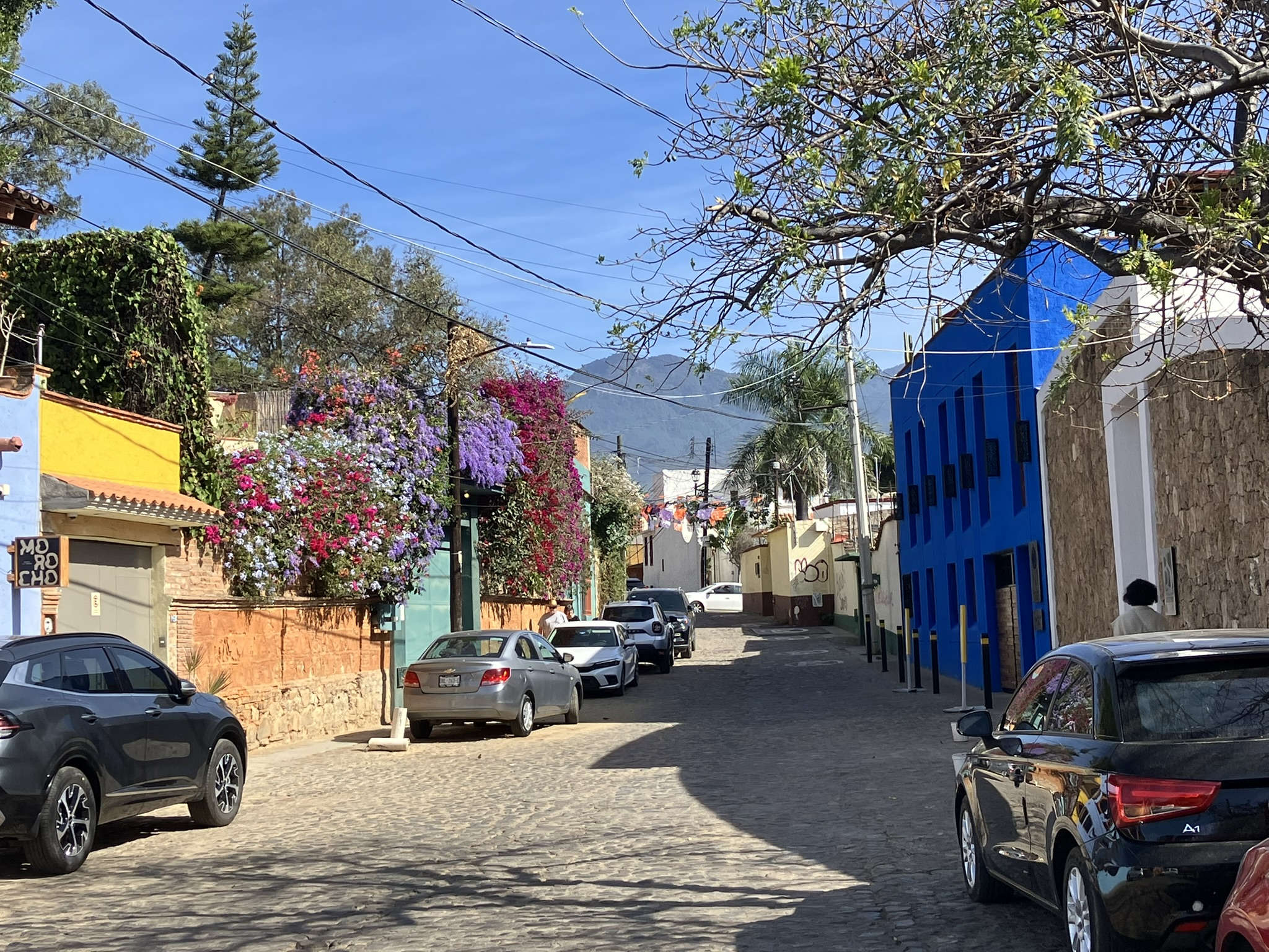 Saturday February 15, 2025